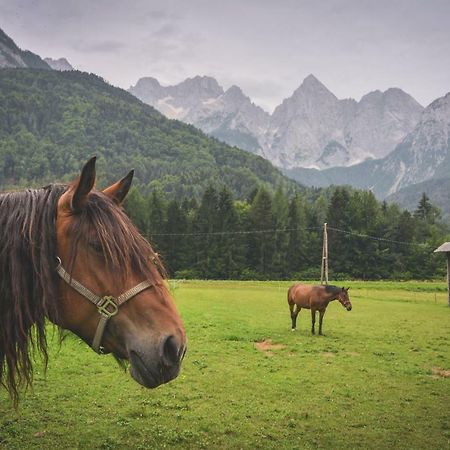 Klass 210 Краньска Гора Экстерьер фото