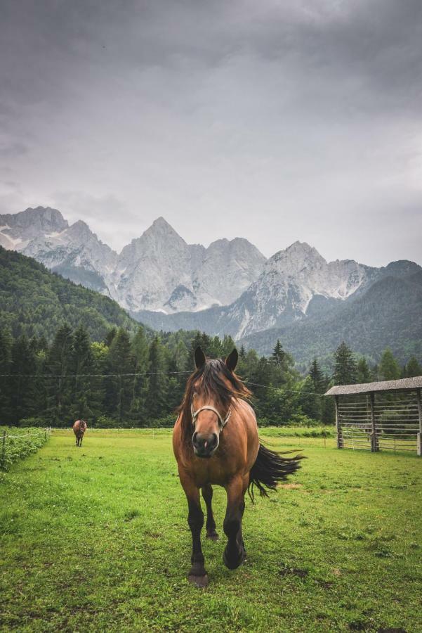 Klass 210 Краньска Гора Экстерьер фото